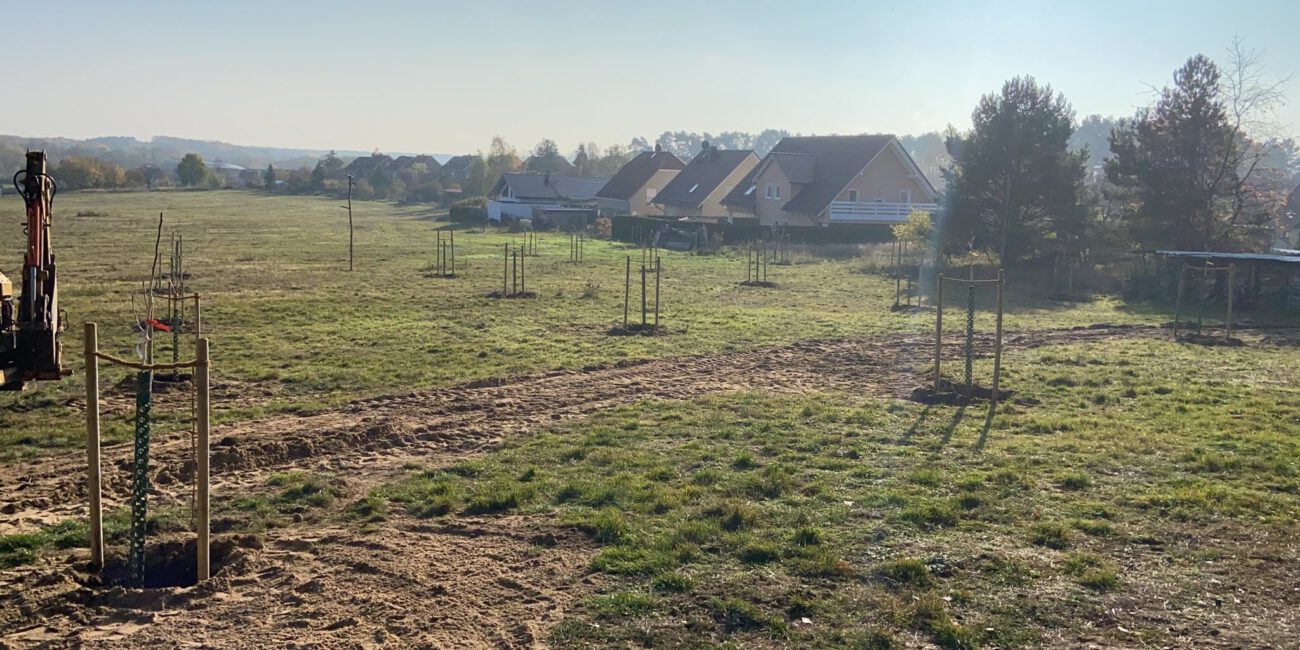 14.11.2022-fertig ist die Pflanzaktion HeilOrt Bad Belzig